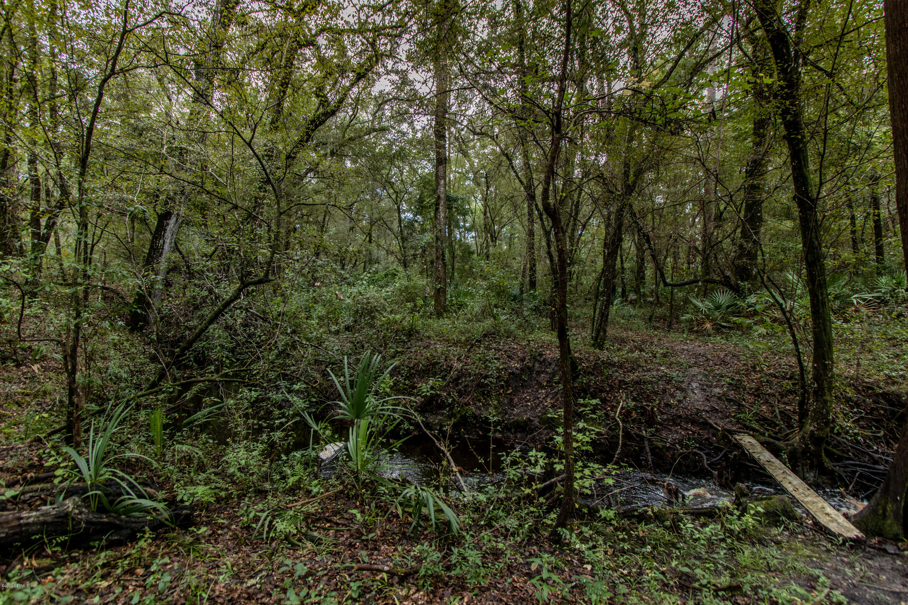 4334 Lazy H Ranch Road Middleburg, FL 32068 - Photo 29 of 32 IMG_2997
