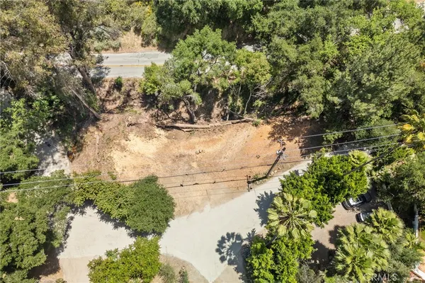 a view of a lake with large trees