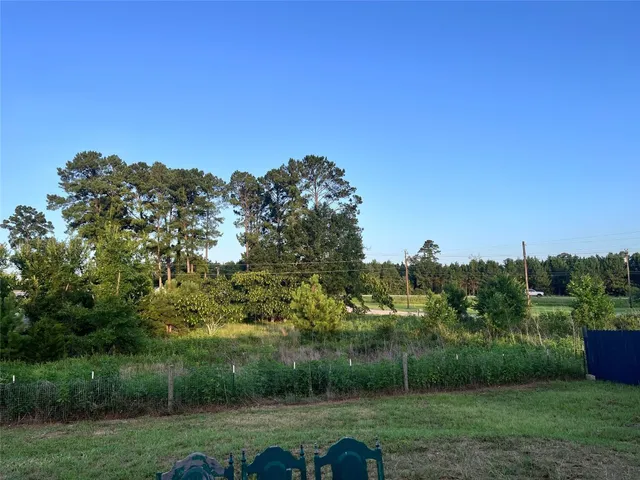 a view of a grassy field with trees