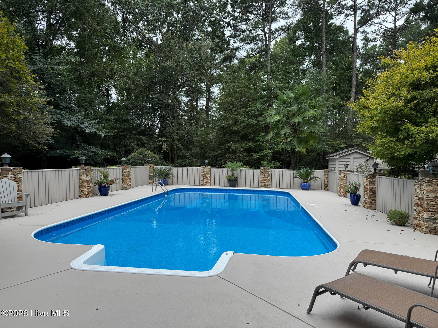 504 Murdocksville Road West End, NC 27376 - Photo 34 of 52 pool1