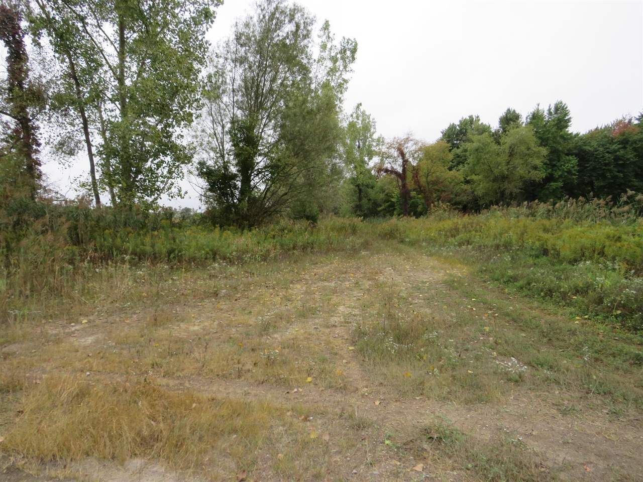 Vl Mcclure Road Eaton Rapids, MI 48827 - Photo 13 of 72
