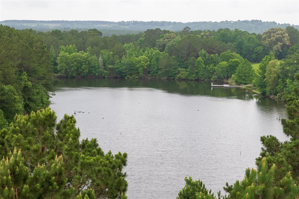 4123 Farm To Market Road 752 Rusk, TX 75785 - Photo 38 of 40
