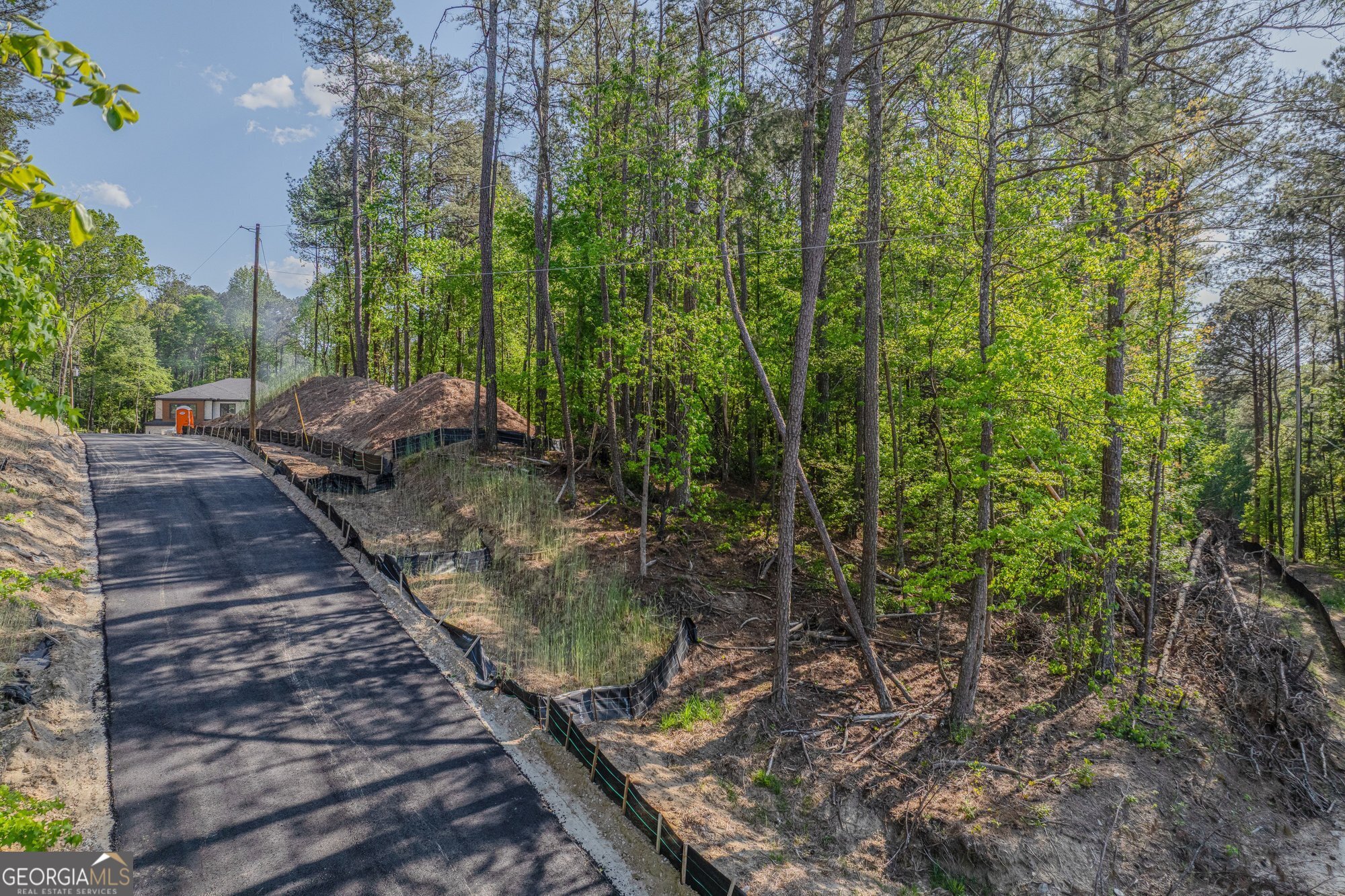1559 Whitley Road Dacula, GA 30019 - Photo 29 of 33 a view of a yard with plants