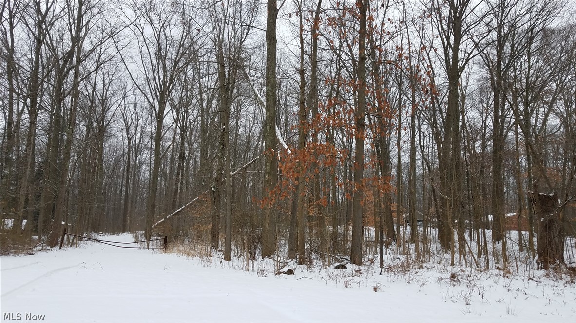 Holzhauer Road Northfield, OH 44067 - Photo 9 of 19 Gallery Image 9