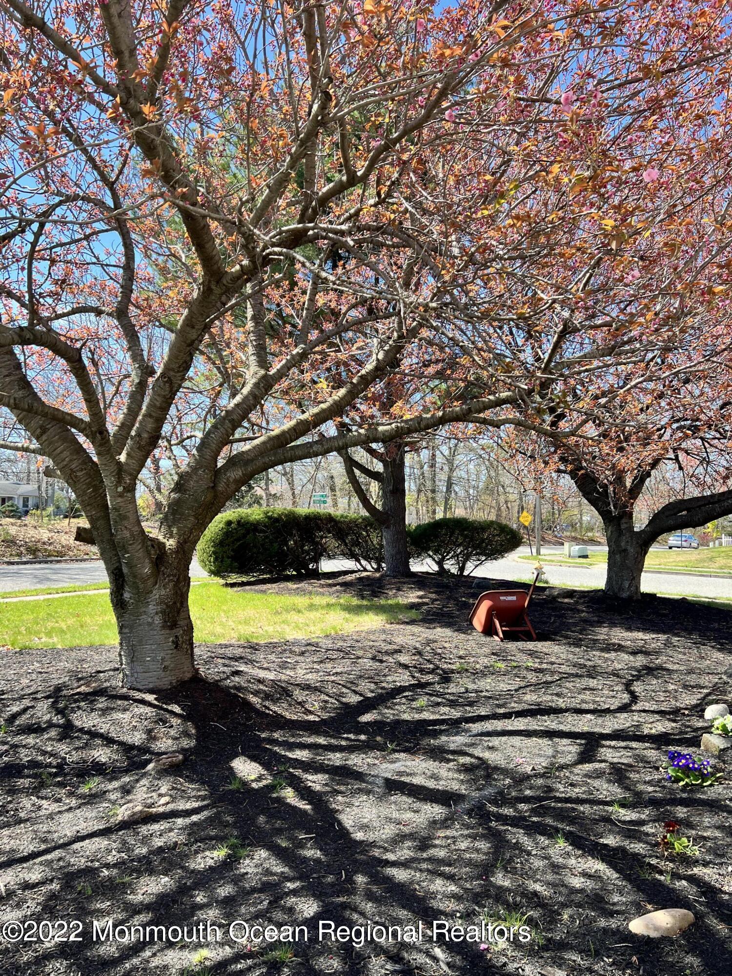 1131 Frontage Road Toms River, NJ 08753 - Photo 3 of 20 C5E51DFE-FBE1-434E-90CB-14A633383BB5