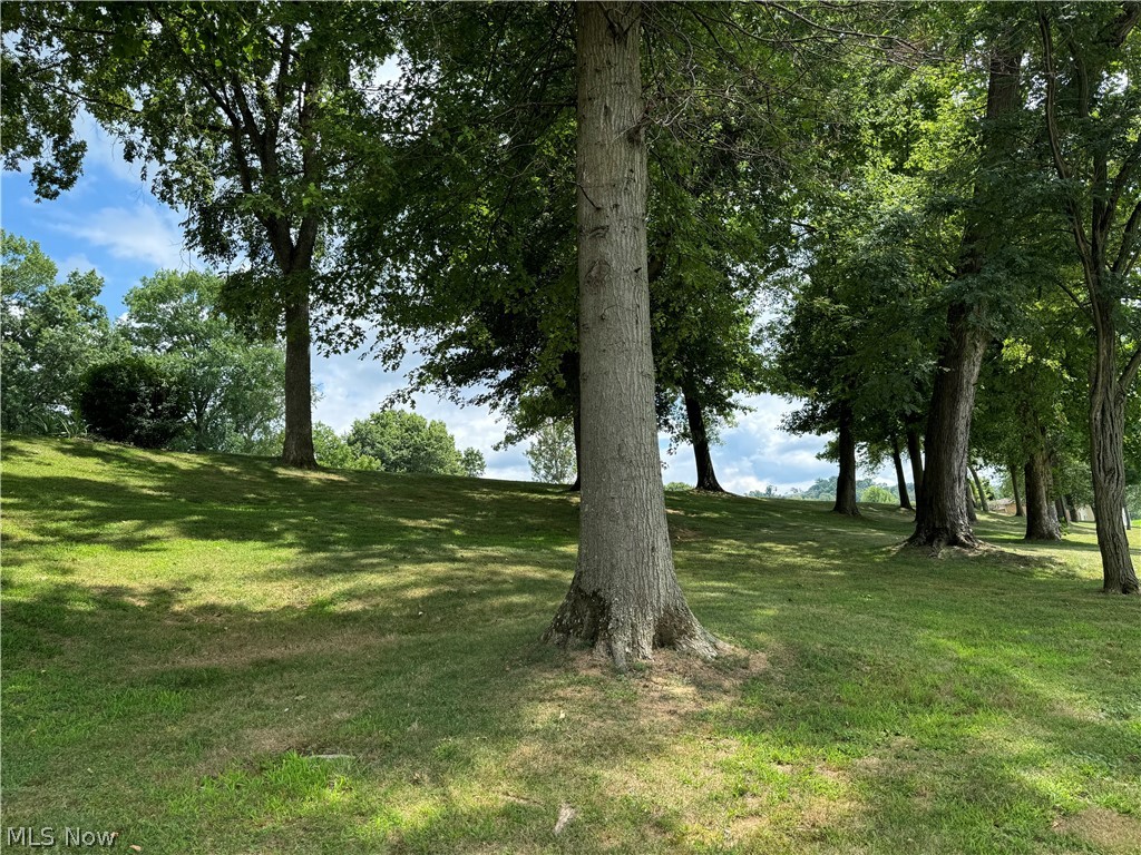 382 Riverview Acres Road Washington, WV 26181 - Photo 19 of 24 View of yard