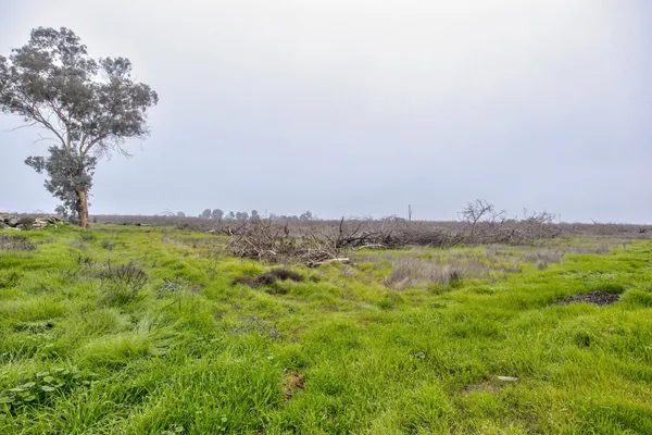 a view of lake with green space
