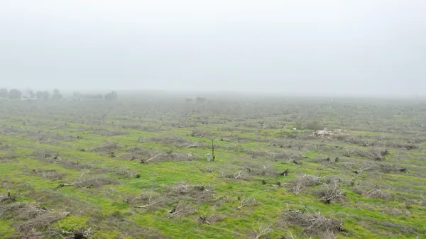 a view of a field with an ocean