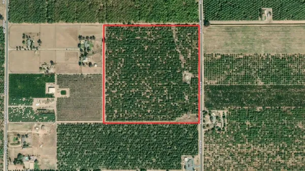 a bird view of a garden