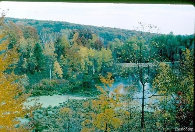 5770 Havens Road Dryden, MI 48428 - Photo 17 of 25 16 Fall View from deck.jpg