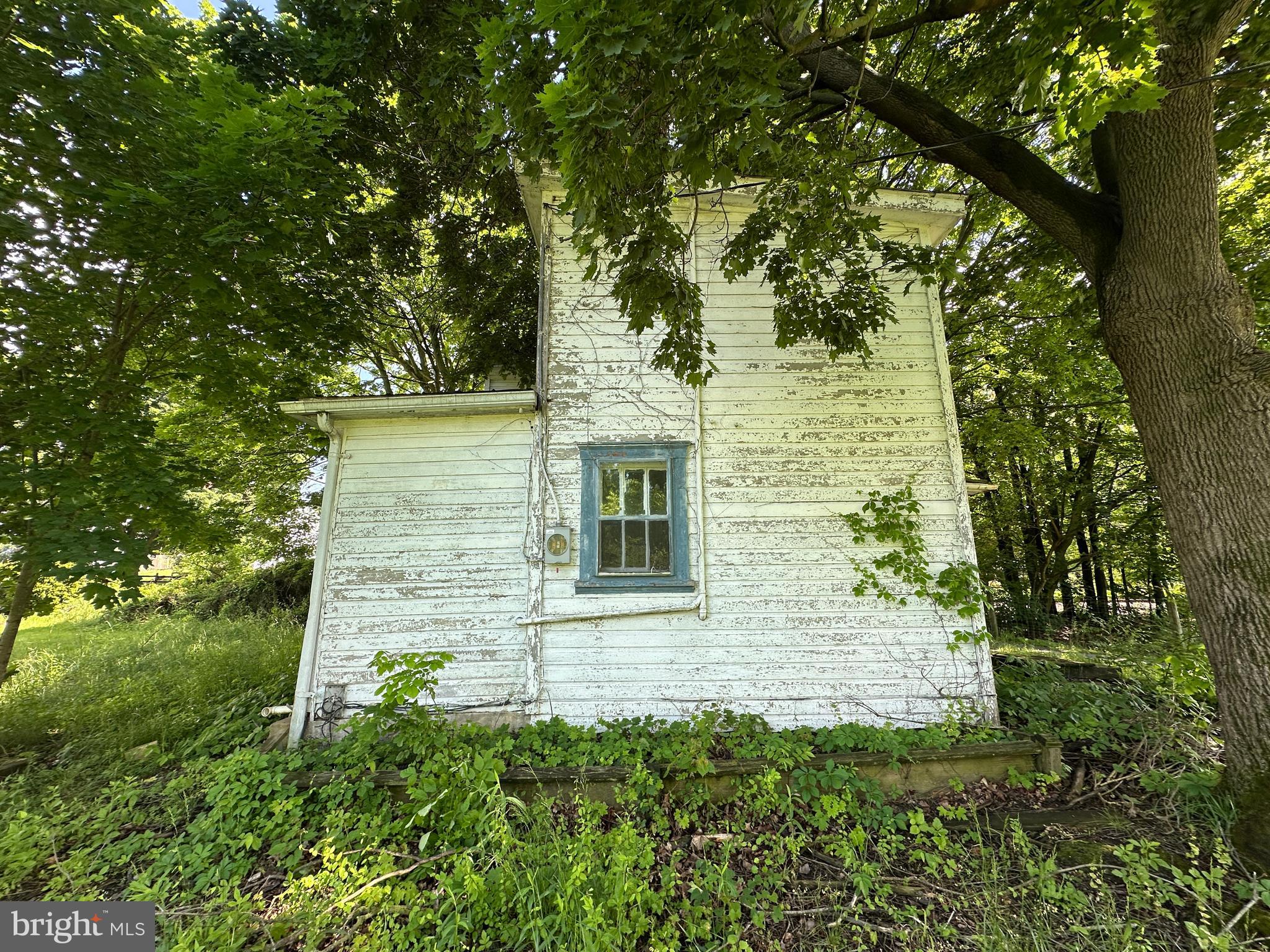 12007 White Hall Road Chewsville, MD 21783 - Photo 12 of 42 a view of a windows in a yard