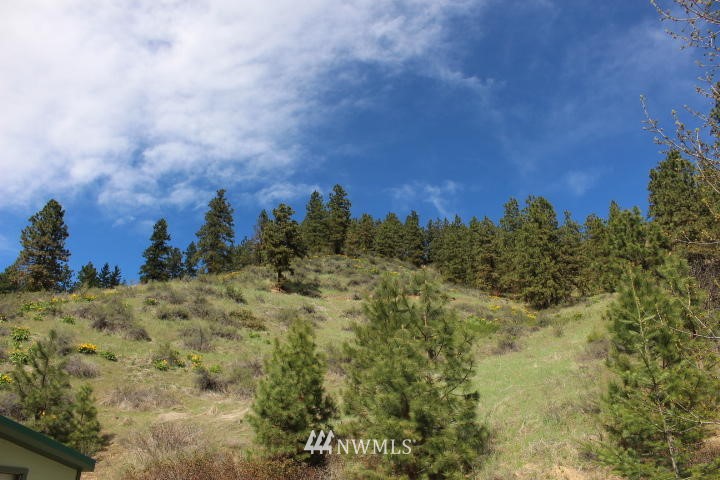 4655 Brisky Canyon Road Cashmere, WA 98815 - Photo 11 of 13 Gallery Image 11