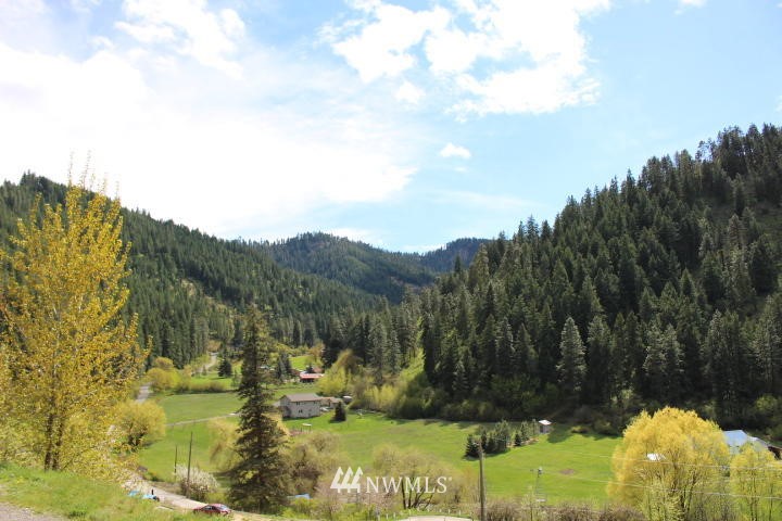 4655 Brisky Canyon Road Cashmere, WA 98815 - Photo 3 of 13 Gallery Image 3