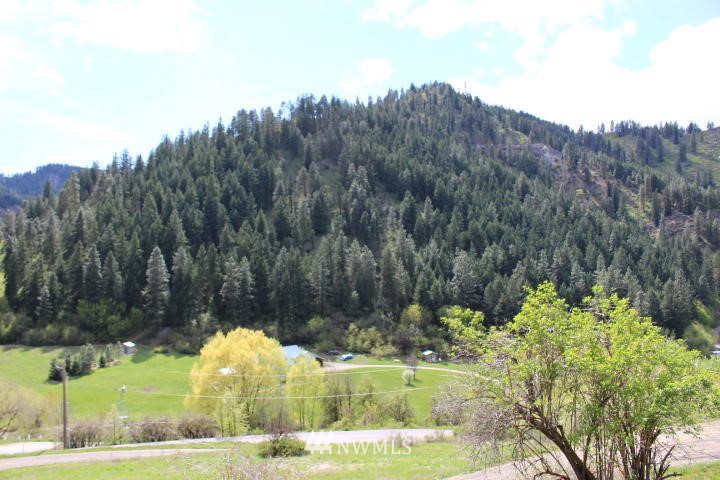 4655 Brisky Canyon Road Cashmere, WA 98815 - Photo 4 of 13 Gallery Image 4