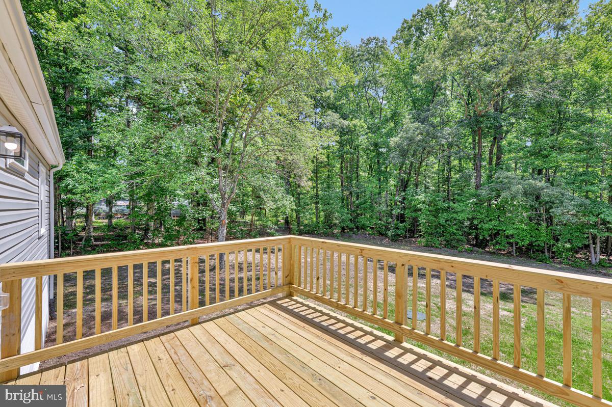 13304 Cherry Tree Crossing Road Brandywine, MD 20613 - Photo 11 of 32 Serene deck overlooking lush greenery.