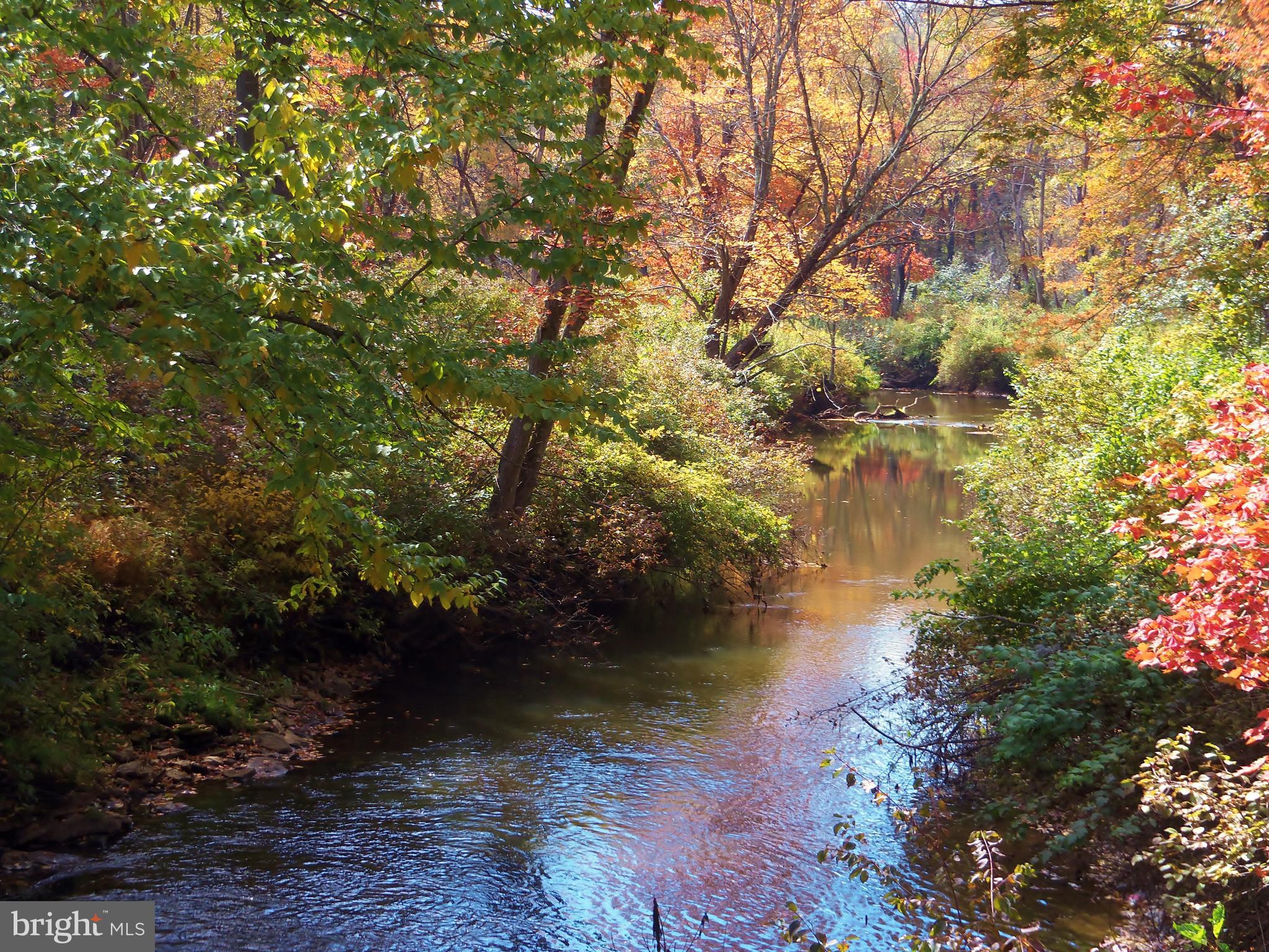 Lot 34 Hemlock Ridge Road Terra Alta, WV 26764 - Photo 11 of 11