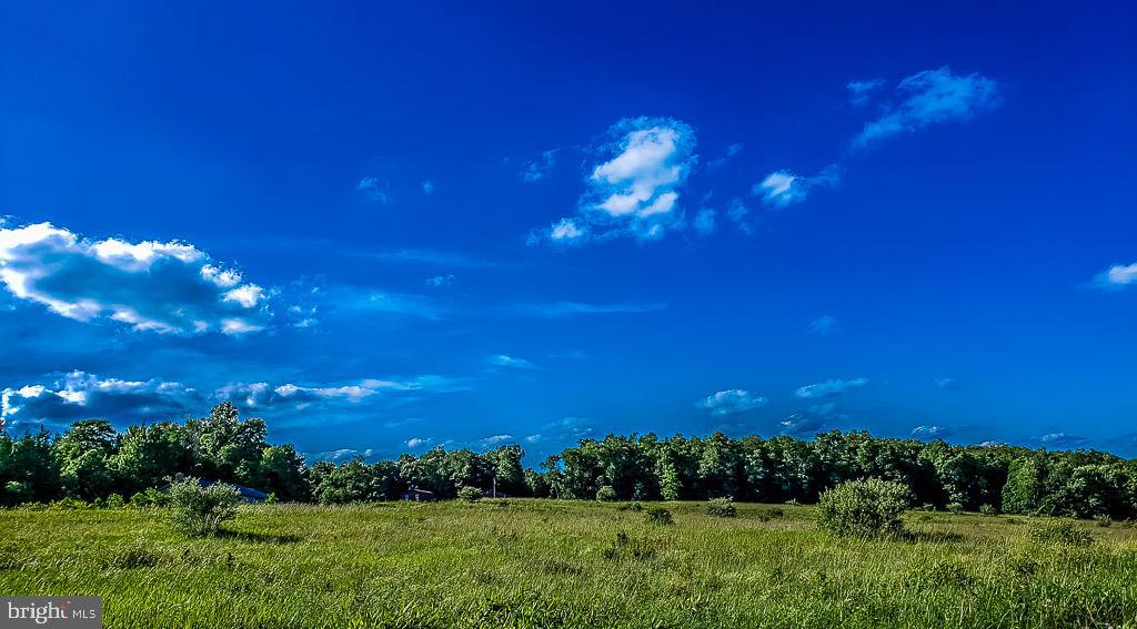 Lot 34 Hemlock Ridge Road Terra Alta, WV 26764 - Photo 4 of 11