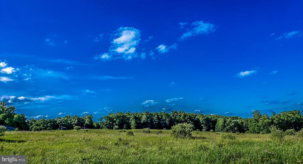 Lot 34 Hemlock Ridge Road Terra Alta, WV 26764 - Photo 5 of 11