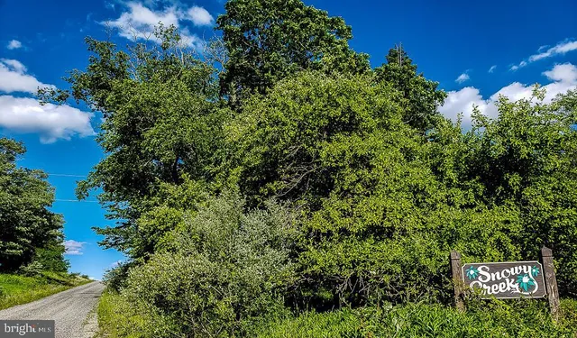 $13,500 | Lot 34 Hemlock Ridge Road, Terra Alta, WV 26764