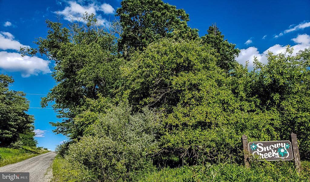 Lot 34 Hemlock Ridge Road Terra Alta, WV 26764 - Photo 7 of 11
