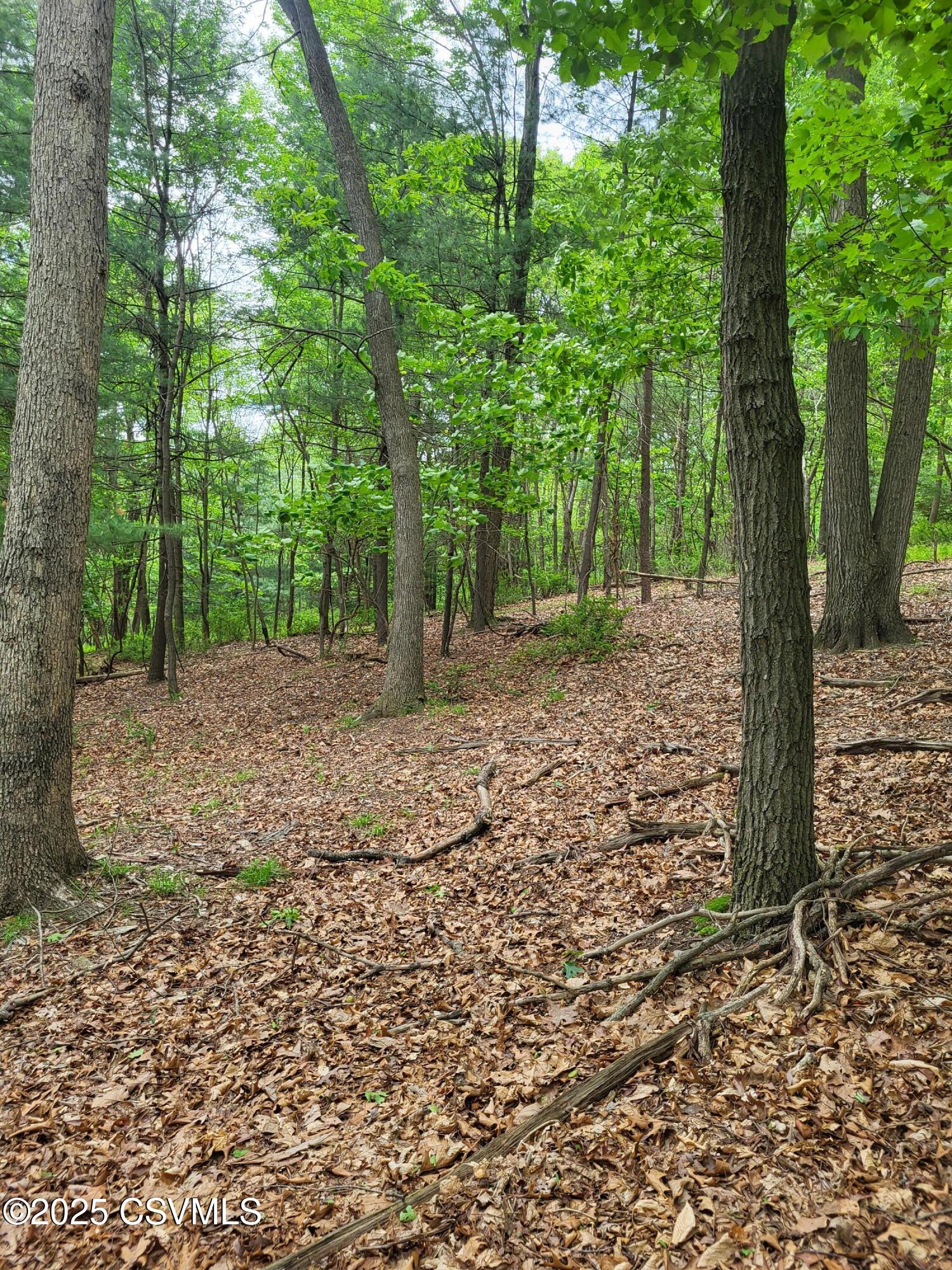 Mountain Road Paxinos, PA 17860 - Photo 10 of 10 Gallery Image 10
