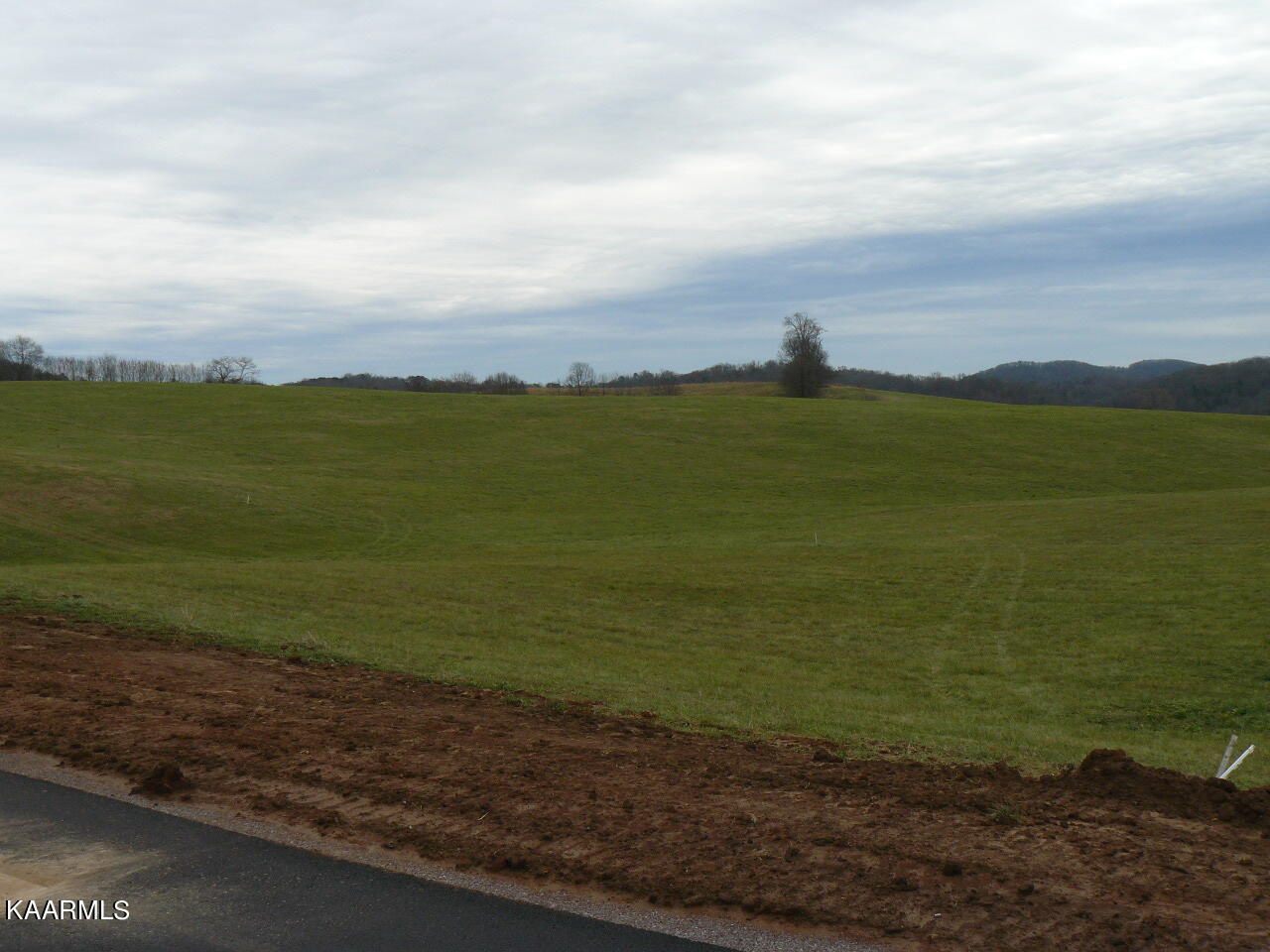 Lot 56 Schertz Lane Rutledge, TN 37861 - Photo 3 of 4 P1420069