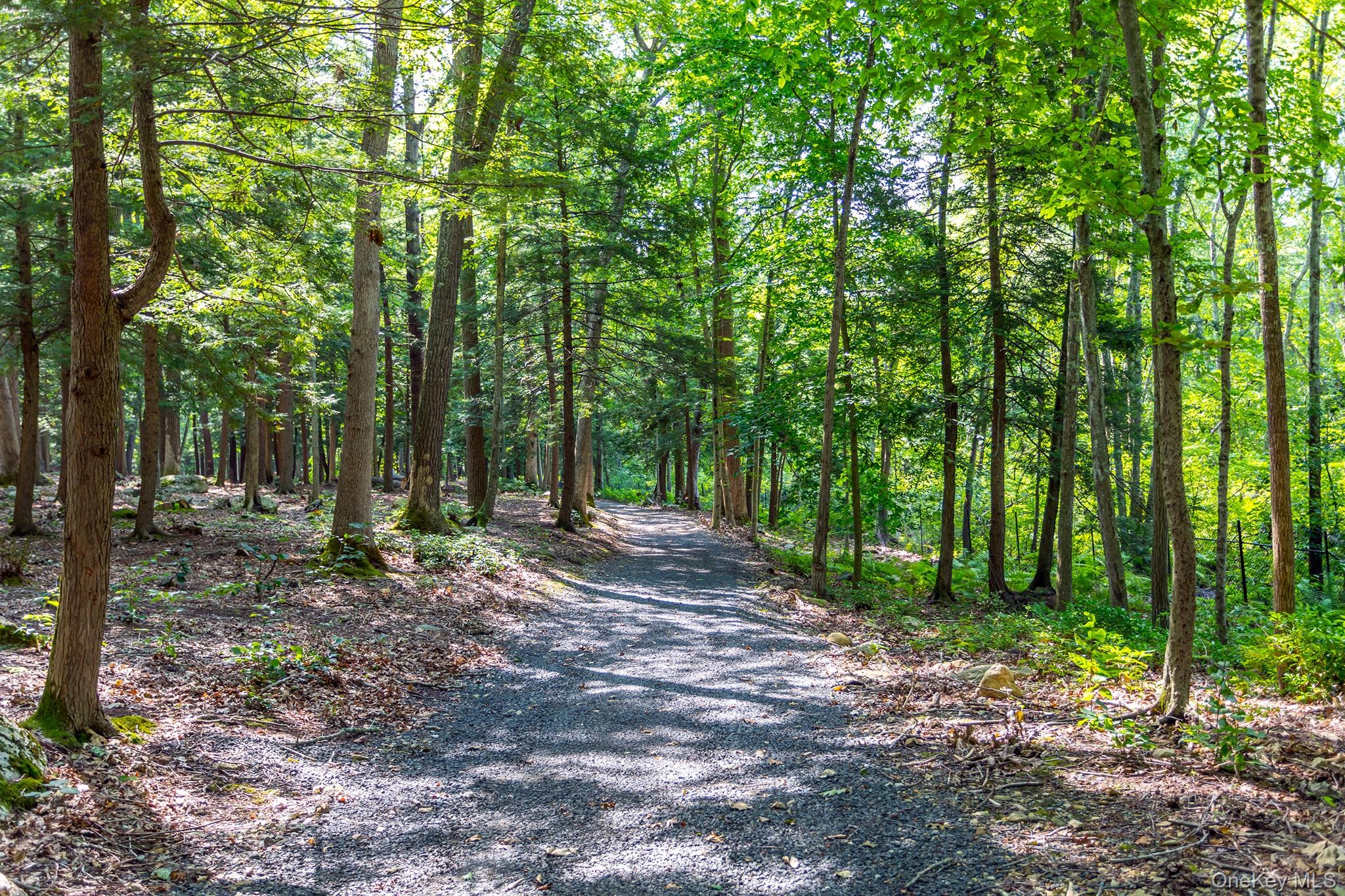 151-155 Long Ridge Road Danbury, CT 06810 - Photo 31 of 48 a view of a forest with trees in the background