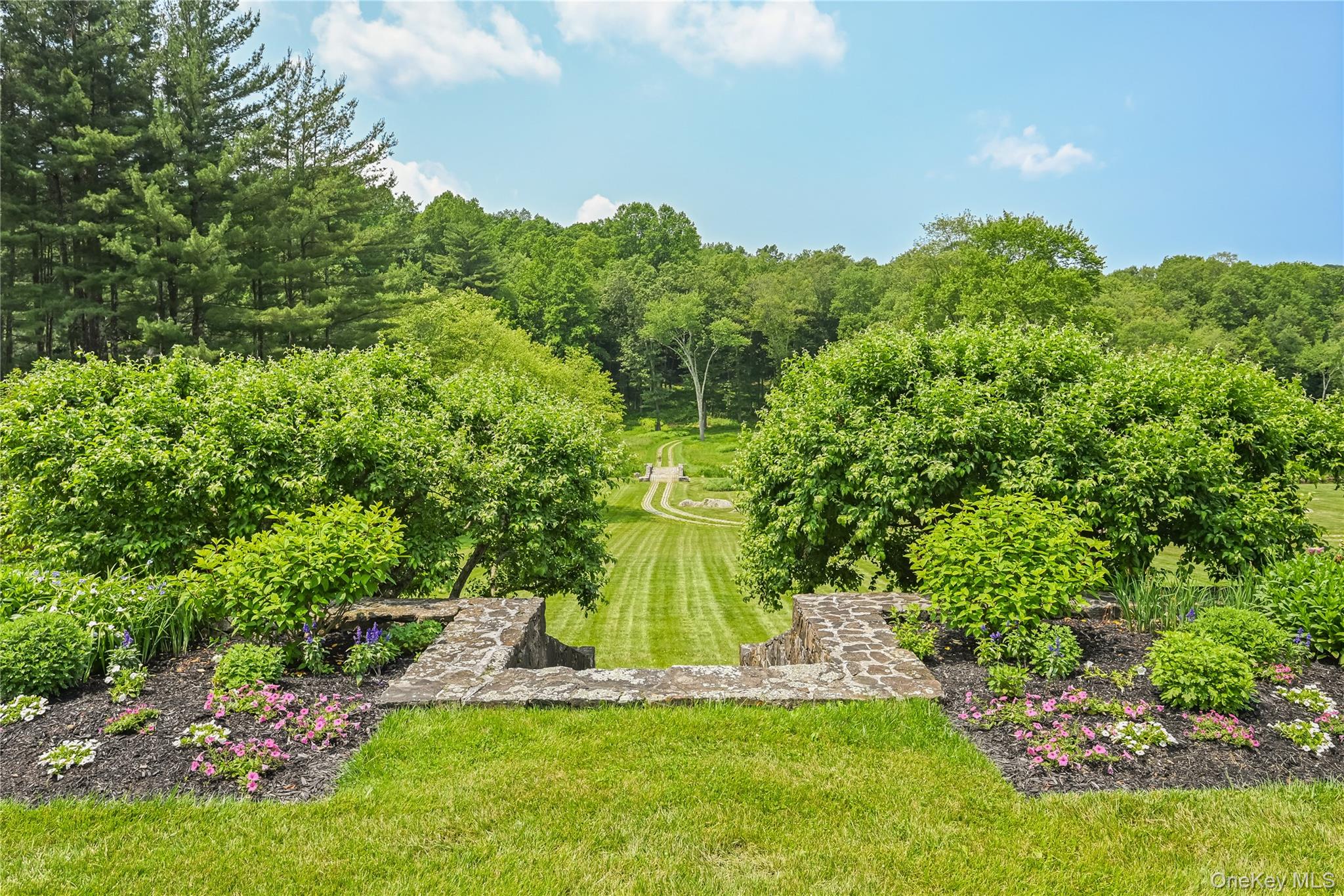 151-155 Long Ridge Road Danbury, CT 06810 - Photo 41 of 48 a view of a garden with large trees
