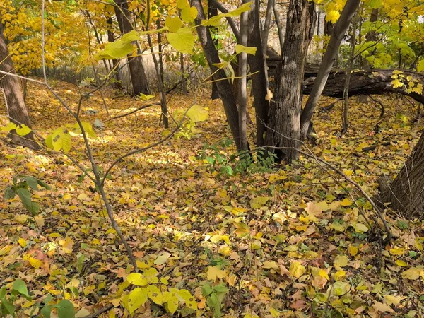 a view of under construction of a building