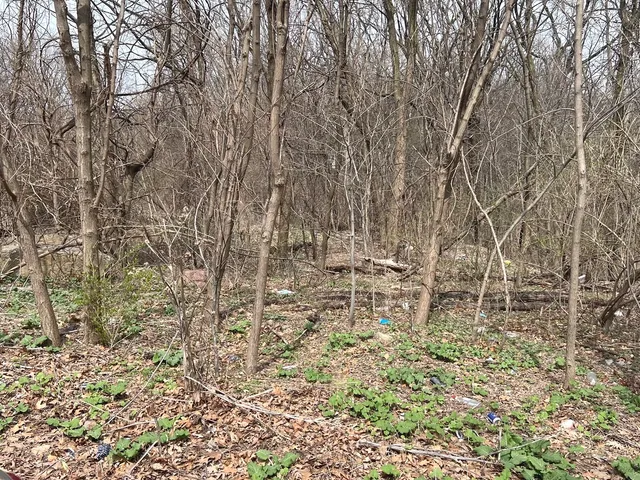 $22,200 | 1213 West Park Front Street, Joliet, IL 60436