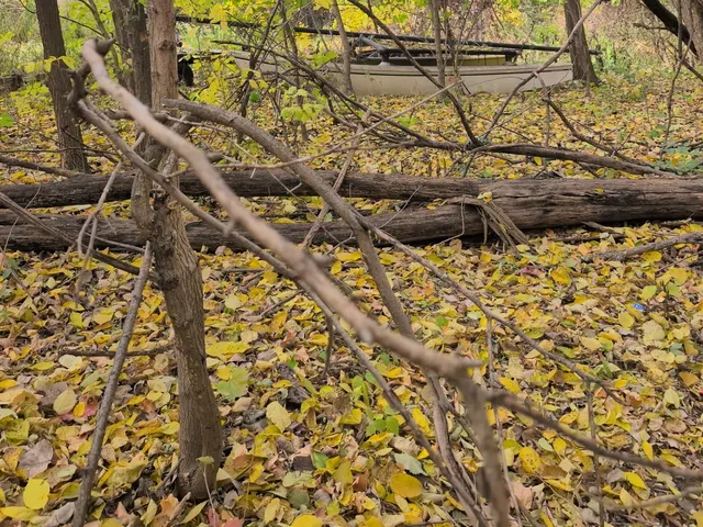 $22,200 | 1213 West Park Front Street, Joliet, IL 60436