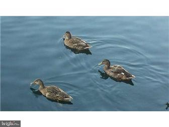 1007 Waters Edge Drive Newark, DE 19702 - Photo 15 of 15