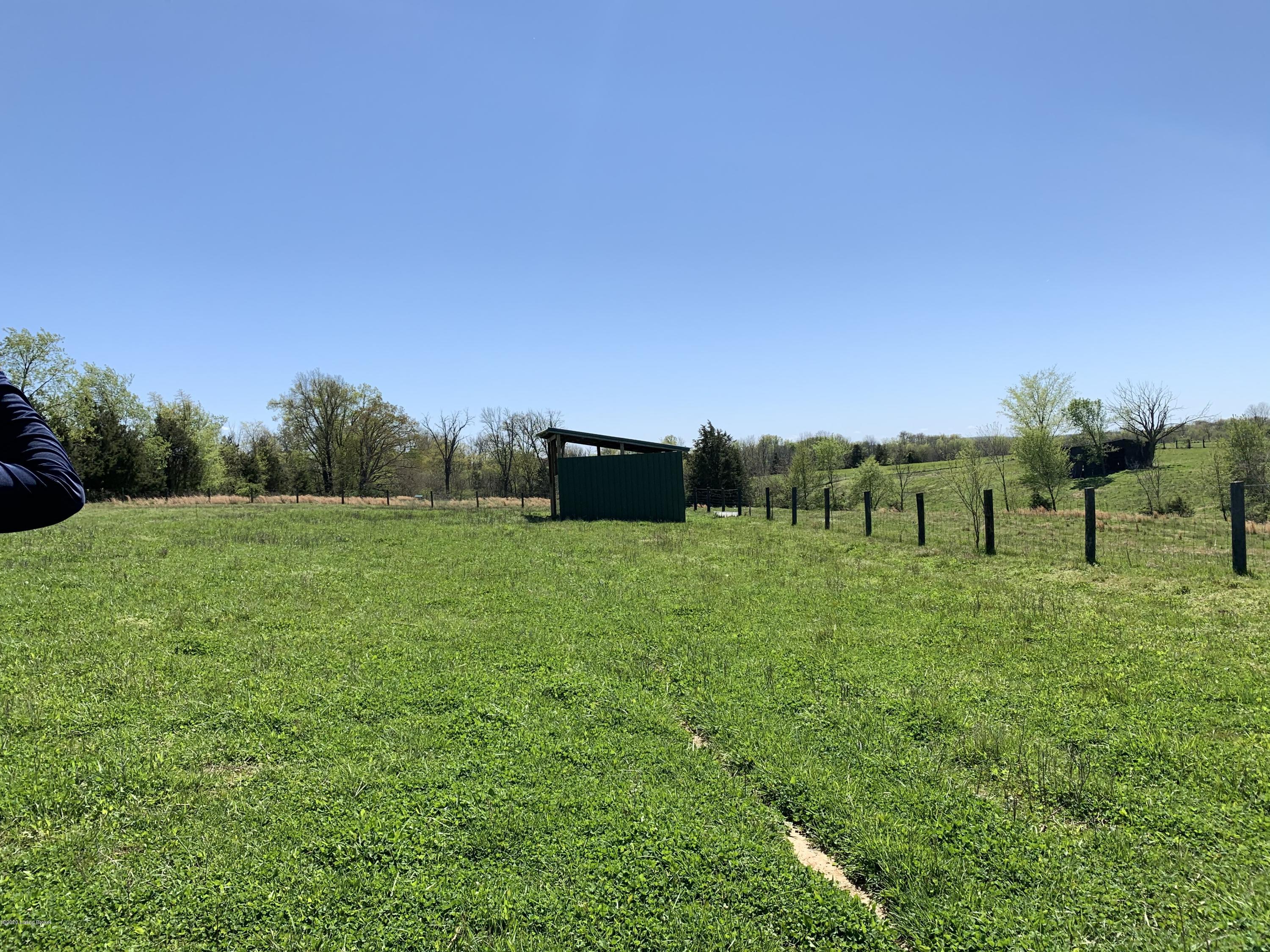 Lot #2 Irish Ridge Road Bardstown, KY 40004 - Photo 42 of 47 RUN IN SHELTER (3)