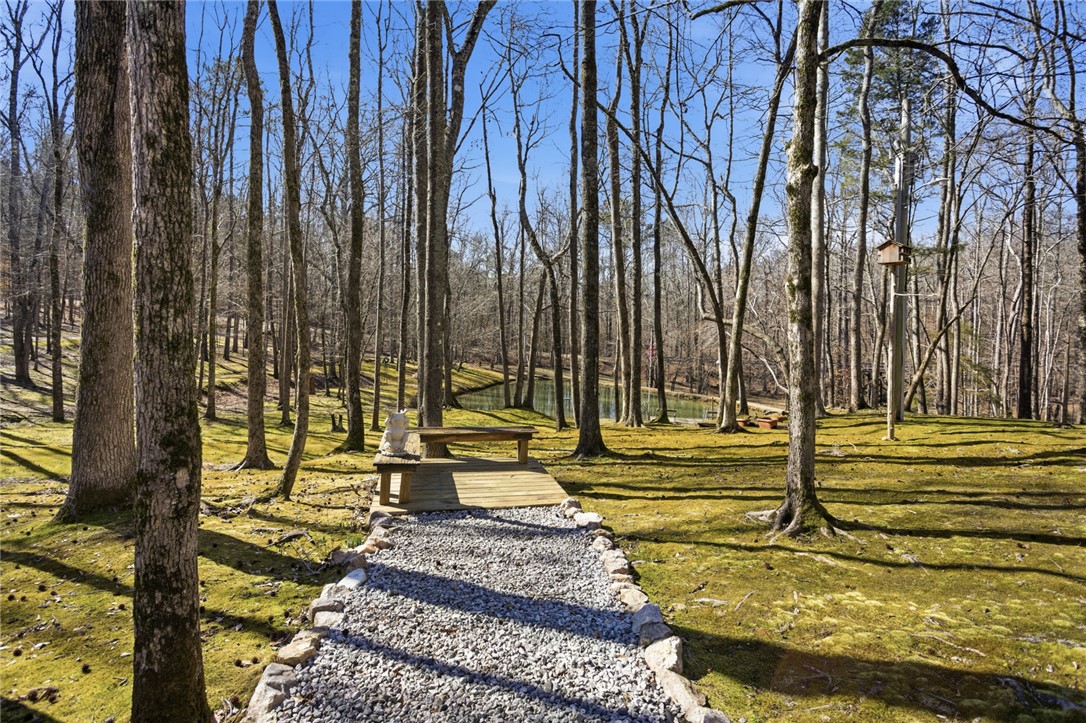 1602 Klugh Road Abbeville, SC 29620 - Photo 26 of 44