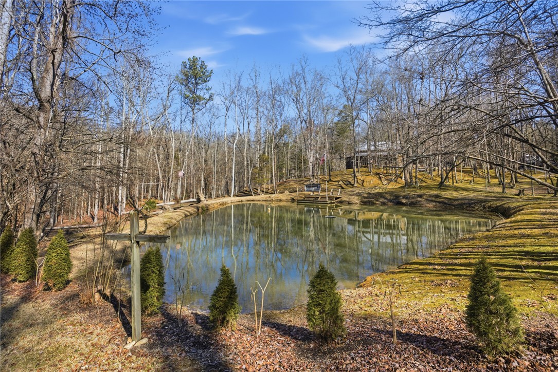 1602 Klugh Road Abbeville, SC 29620 - Photo 29 of 44