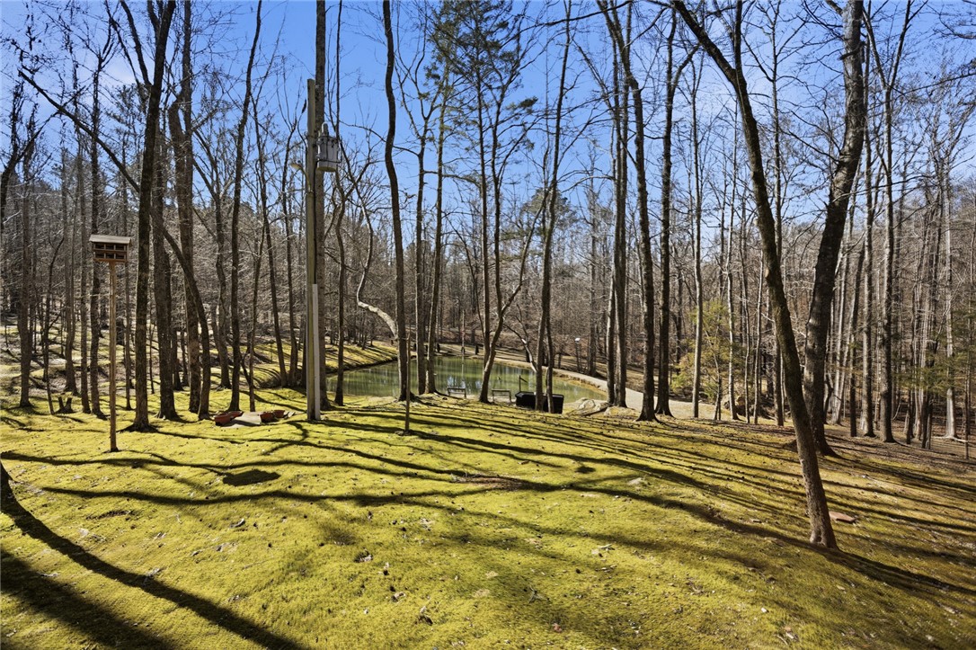 1602 Klugh Road Abbeville, SC 29620 - Photo 3 of 44