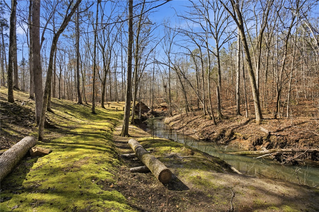 1602 Klugh Road Abbeville, SC 29620 - Photo 34 of 44