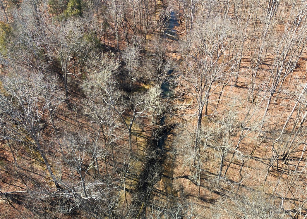 1602 Klugh Road Abbeville, SC 29620 - Photo 43 of 44