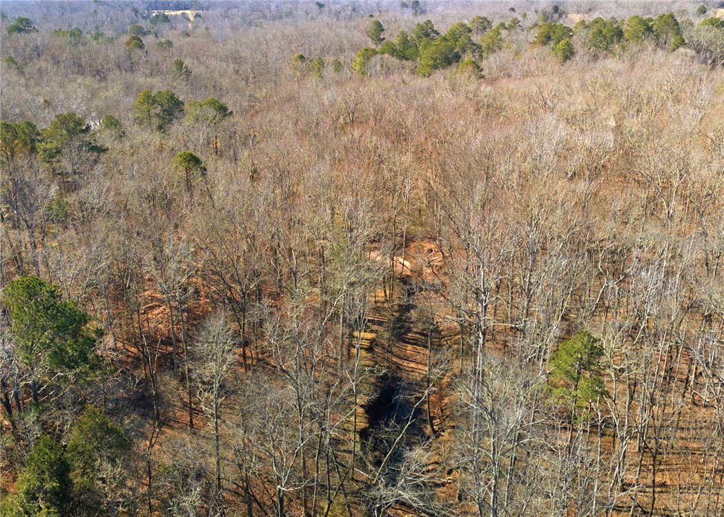 1602 Klugh Road Abbeville, SC 29620 - Photo 44 of 44