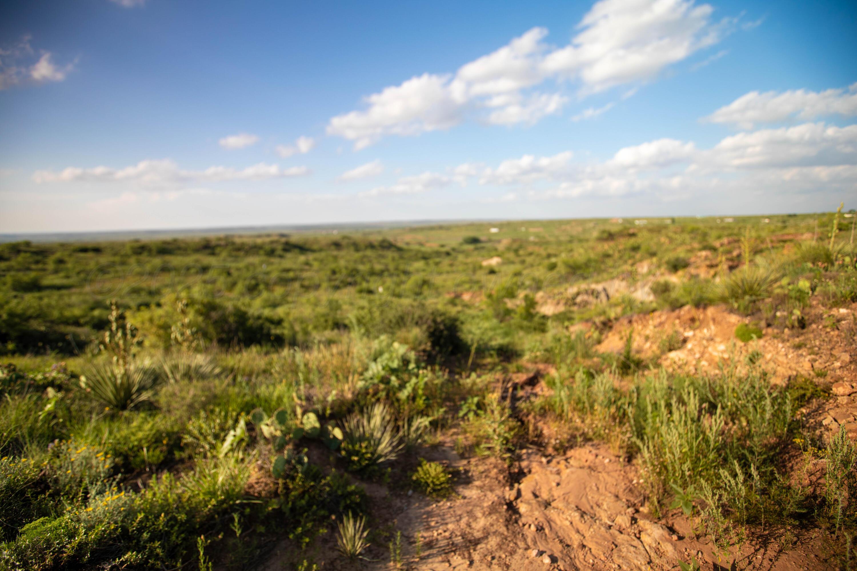 20700 Murray Loop Amarillo, TX 79124 - Photo 5 of 10 1R0A0833