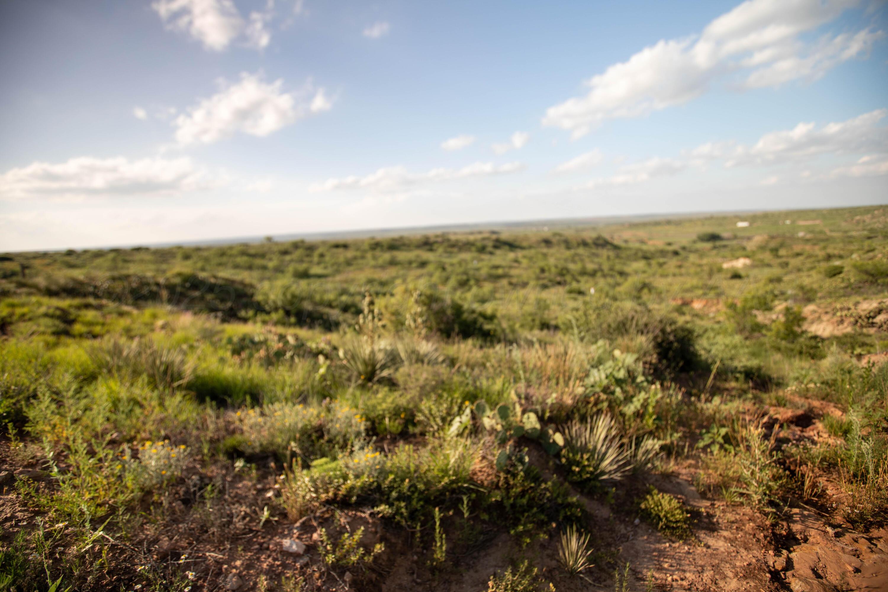 20700 Murray Loop Amarillo, TX 79124 - Photo 6 of 10 1R0A0834