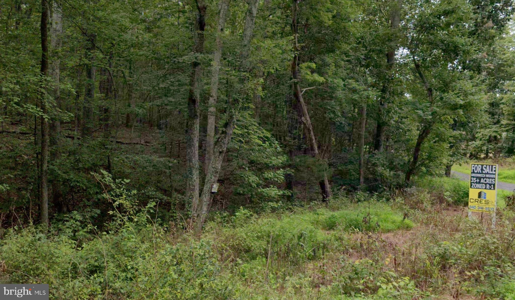 Greenwich Road Nokesville, VA 20181 - Photo 2 of 2 a view of a lush green forest