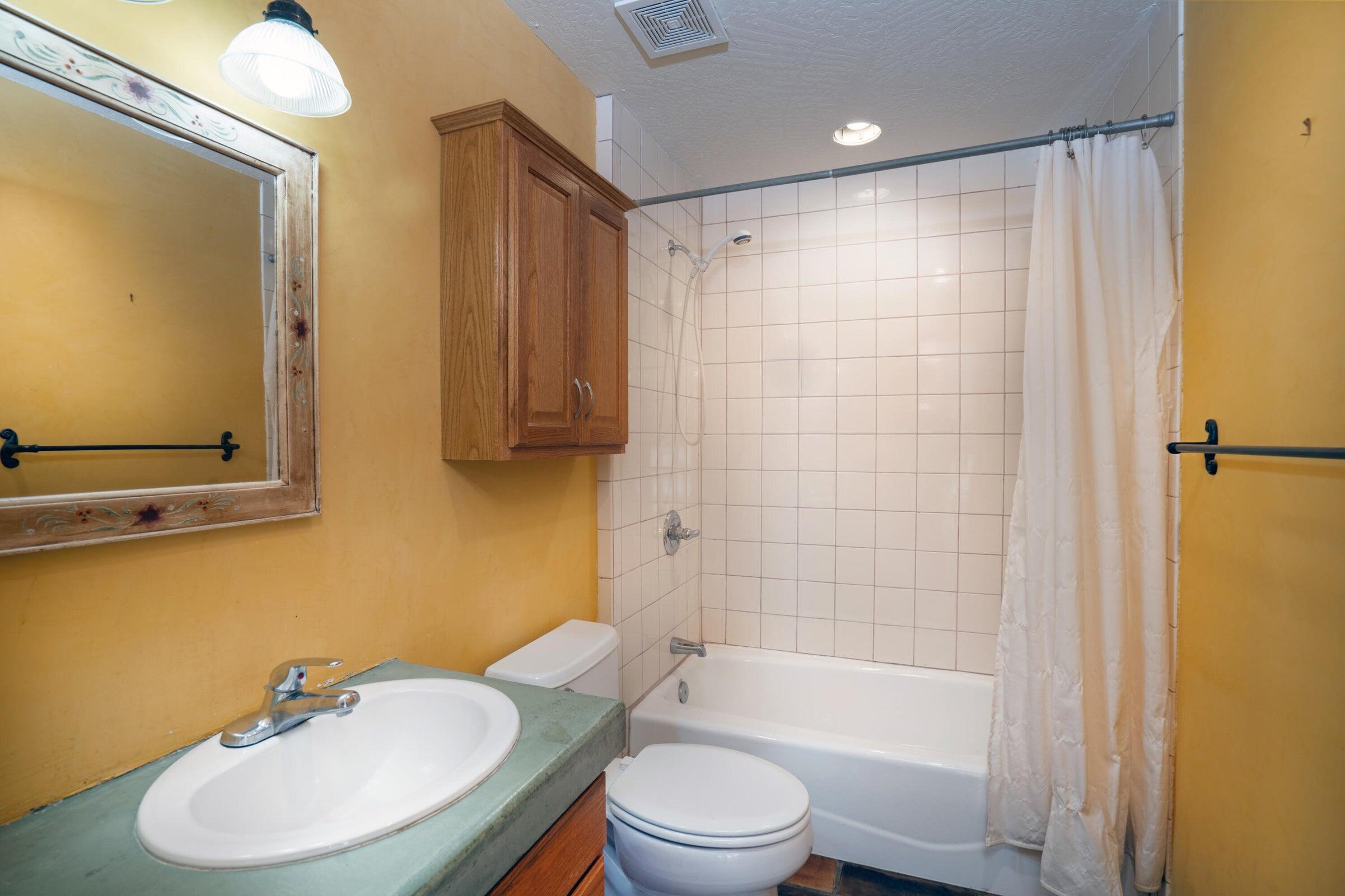 454 Silverglance Way Rico, CO 81332 - Photo 24 of 28 454 Silverglance