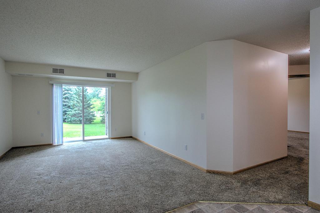 610 Whiskey Road Northwest, Unit 119 Isanti, MN 55040 - Photo 6 of 24 Gallery Image 6