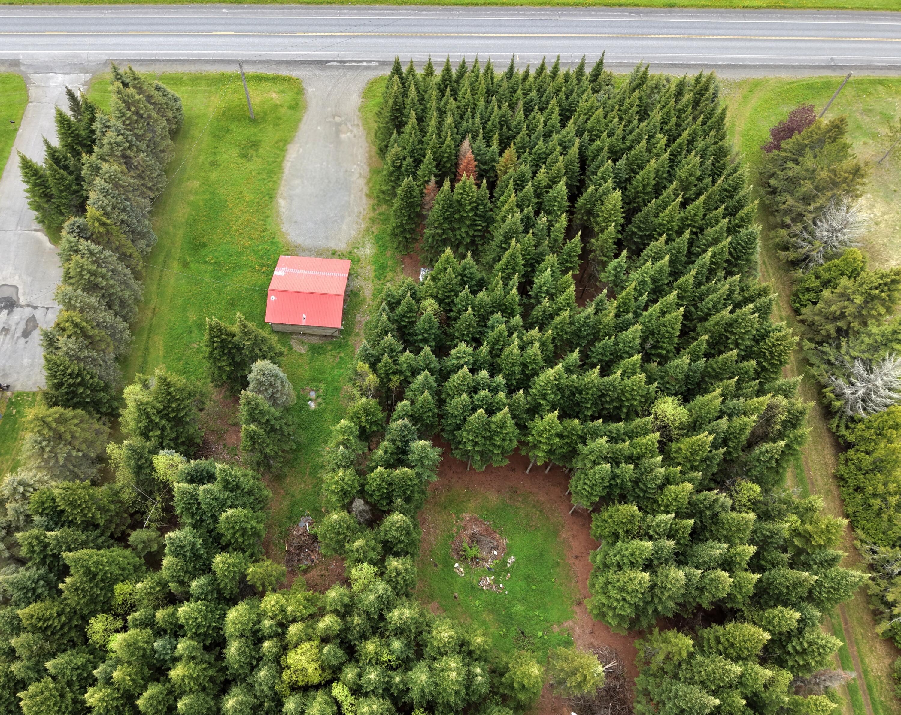 929 Access Highway Limestone, ME 04750 - Photo 6 of 18 45999