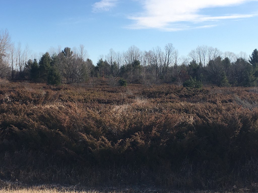 0 Maple Grove Road Fish Creek, WI 54212 - Photo 4 of 5