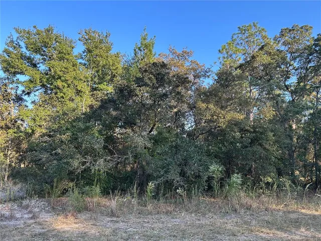 $12,000 | Tbd Northeast Tbd Ne 148th Terrace, Williston, FL 32696