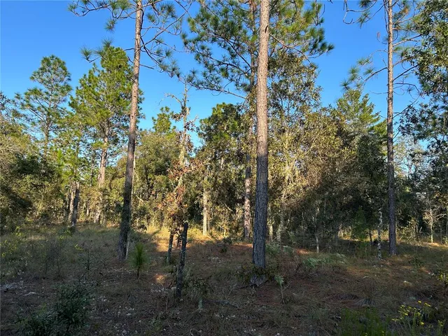 $12,000 | Tbd Northeast Tbd Ne 148th Terrace, Williston, FL 32696
