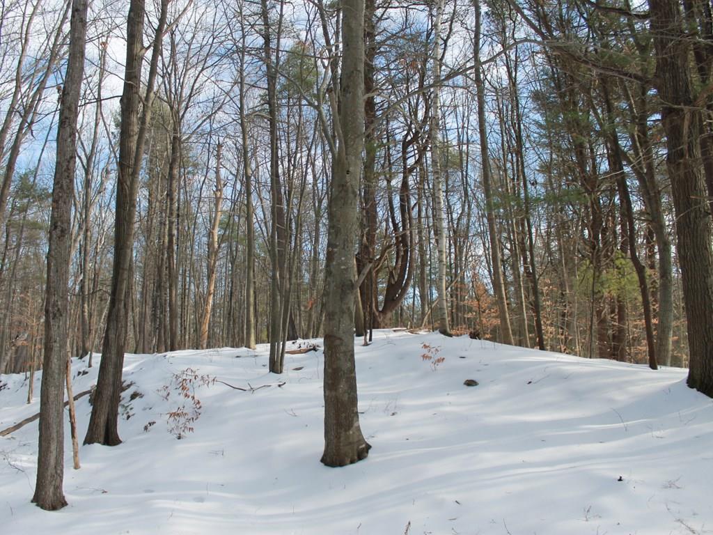 31 Miller Road Kittery, ME 03905 - Photo 6 of 7 Photo