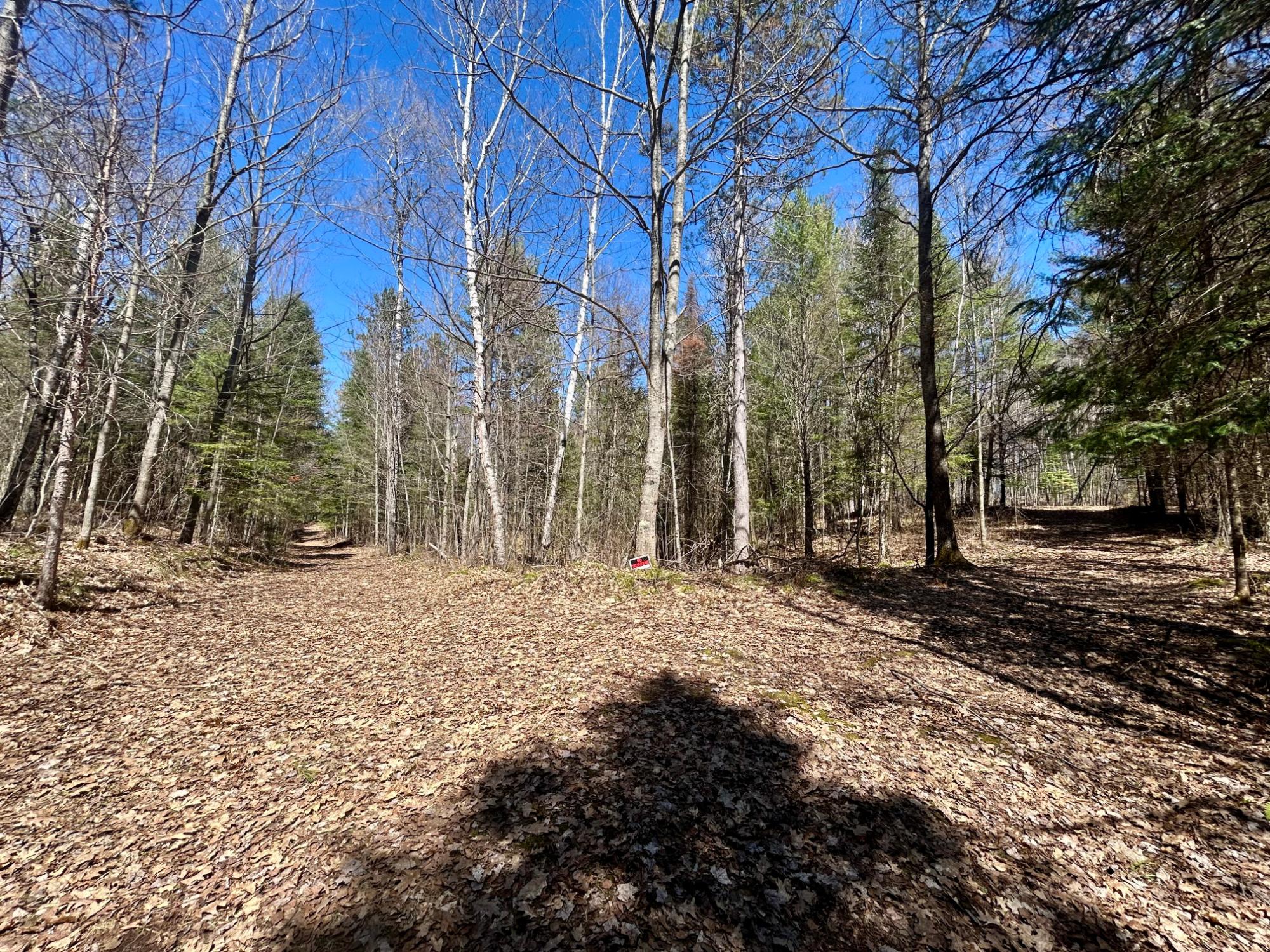 80-ac Off Razorback Road Conover, WI 54519 - Photo 9 of 19